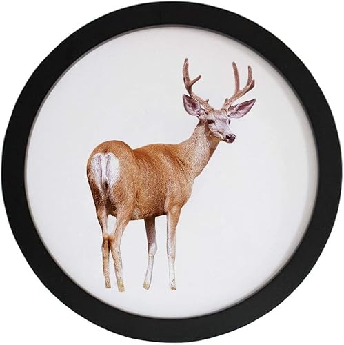 ی^tHgt[ CؐtHgt[ ǎt z ~`[bptHgt[ǂ̑ (8in,ubN)