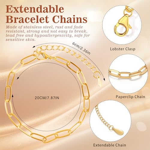 Image of Himake 653Pcs Gold Silver Charm Bracelet Making Kit, DIY Jewelry Making Supplies, Including Paperclip Chain Bracelets, Jump Rings, Charms, Gift Bags, Pliers, Box for Jewelry Making(Gold & Silver)