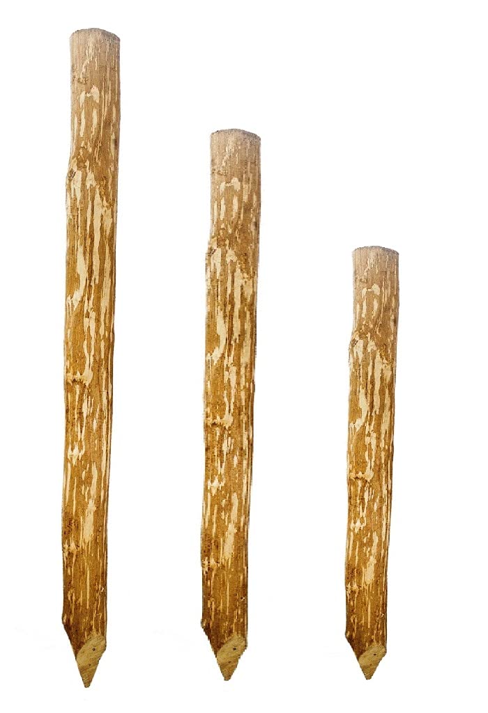 Zaunpfahl 8 Stück Staketenzaun Zaunpfosten Holzpfosten Haselnuss Kastanienzaun Zaunpfähle Höhe: 120 cm