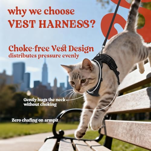 Image of rabbitgoo Cat Harness and Leash Set, Escape Proof Vest, Black | Soft Breathable Mesh, Easy Adjustable Fit, Snap Buckles, Sturdy Clip, Reflective Strips, for Kittens & Small Cats Walks, Xxs
