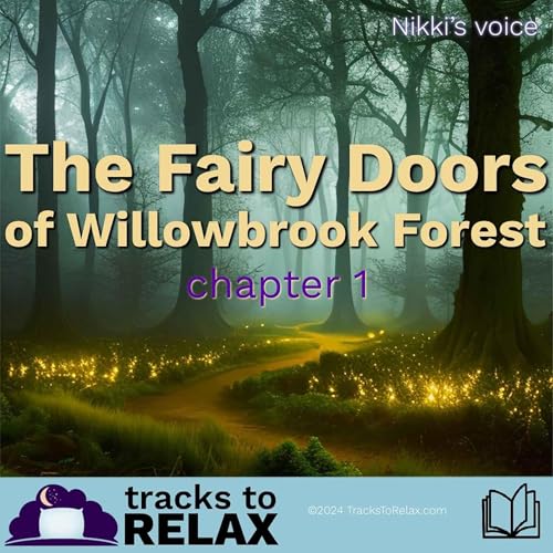 Fairy Doors Chapter 1 - Bedtime Story (Nikki's Voice) Podcast Por  arte de portada