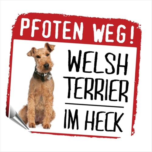 Siviwonder Autoaufkleber Welsh Terrier im Heck reflektierende Reflexfolie Hinweis Hund im Auto 9 x 8 cm Sticker für Heckscheibe Heckklappe Stossstange nachts Hundeaufkleber Kombi SUV Van Wohnmobil Pkw