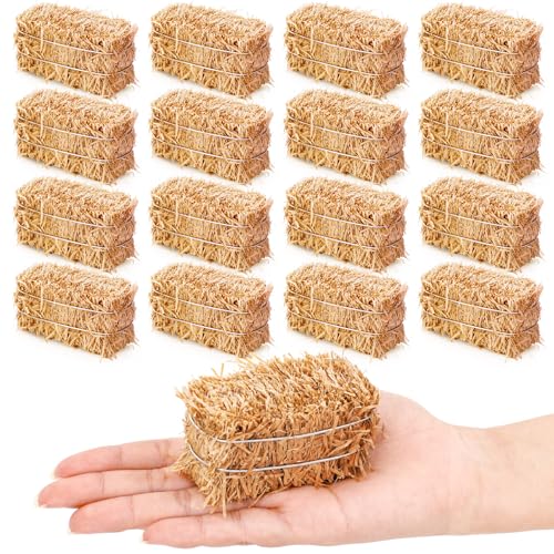 Jarthenaamcs 8 Pcs Mini Hay Bales Small Decorative Straw Bale For Easter Thanksgiving Fall Harvest Christmas Nativity Scene Craft Dollhouse Farm Halloween Party Table Decoration, 2.7 X 1.3 X 1.3 Inch