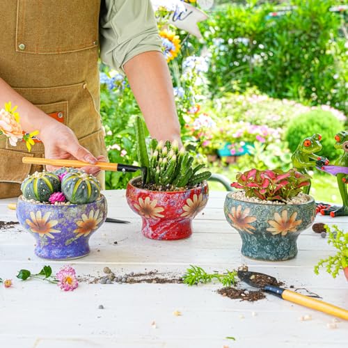 Image of Sungmor Set of 3 Beautiful Handicrafts Ceramic Planters - 4.9 Inch Small Succulent Flower Pots with Drainage - Pretty Desktop Windowsill Landscape Flowerpot - Home & Office Decor Pots