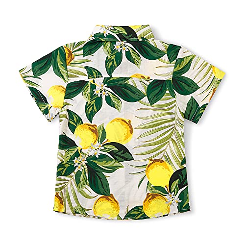 OCHENTA Boys Lightweight Button Down Hawaiian Shirt Floral Short Sleeve Aloha Tropical Summer Tops2
