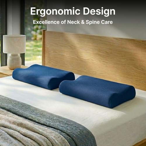 Image of pTron Ergova O2 100% Memory Foam Cervical Neck Pillow, Improves Posture, Spinal Alignment, Neck Pain Relief Cushion, Queen Size 19x11x3.5 inch, Breathable & Washable Zip Cover (Blue)