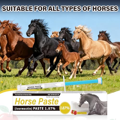 1 Pack Equine Paste 1.87% – (6.08g Each) Apple Flavored Oral for Horse - Image 5