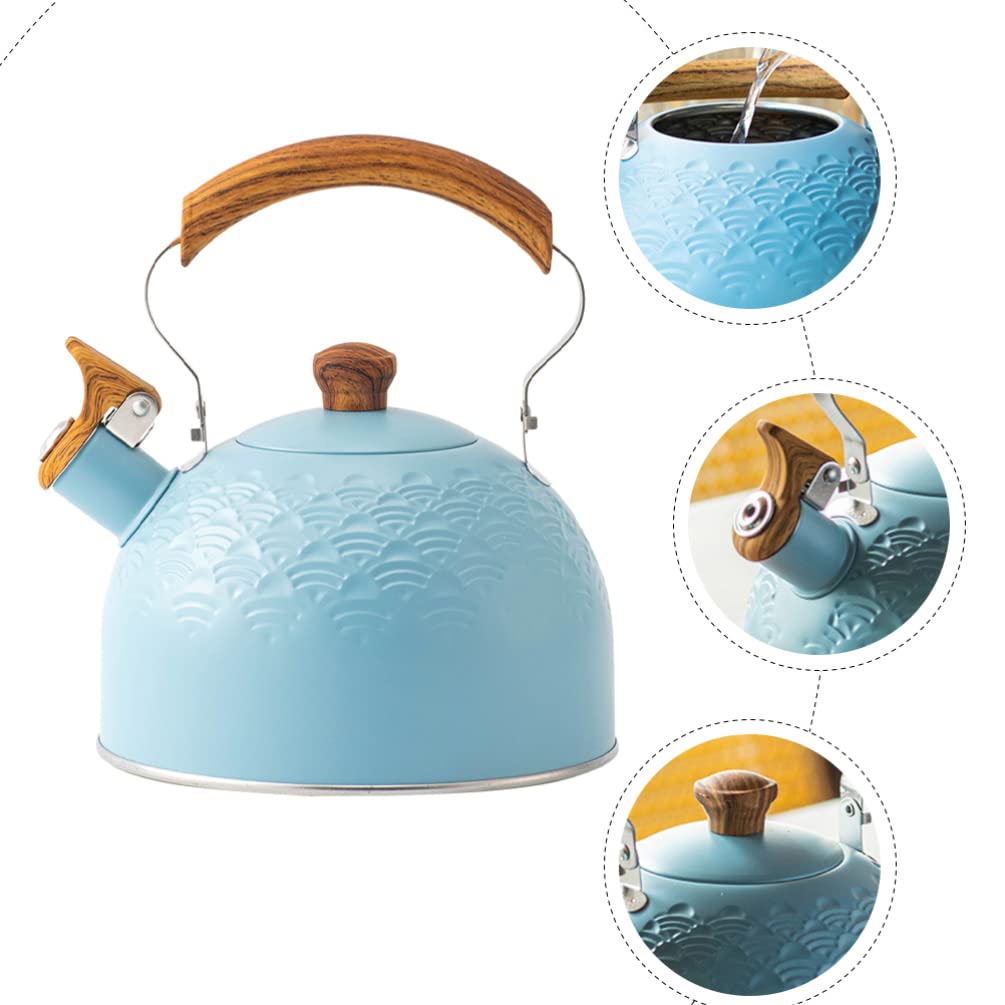 Bollitore con fischio Bollitore per il tè piano cottura Bollitore per il tè bollente teteras para hervir agua teiera Forte caffettiera retrò Bollitore con fischio per il ristorante Prepara il tè Pe