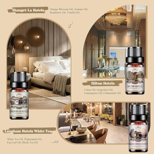 AESHORY Aromatherapie Hotel Geurende Olie Set 6x10ML, Meest Populaire 5 Sterren Hotel Geurende Essentiële Oliën, Elegante Etherische Olie, Shangri-La, Marriott, Ritz-Carlton, Bulgari Witte Thee - Afbeelding 4