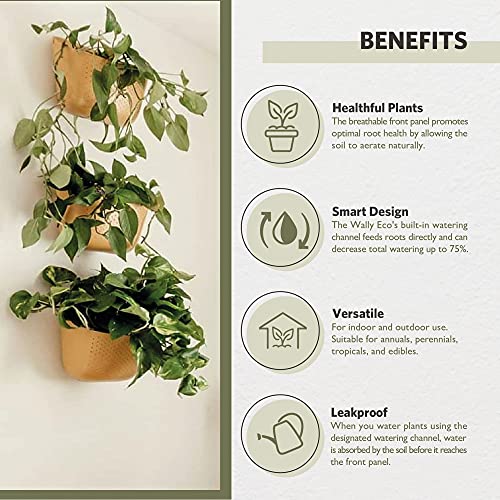 Wallygrow Eco Wall Planter, Create A Plant Wall With Hanging Planters For Indoor Or Outdoor Use (White, 9) #TOP2