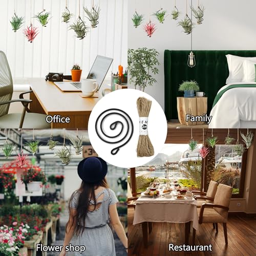 Niuhong 12 Pcs Luftpflanzen Regal Hängender Mit Juteschnur Luftständer Pflanzenhalter Metall Aufhängen Pflanzenhalterung Präsentationsständer für Decken Balkon Garten Dekoration (schwarz)