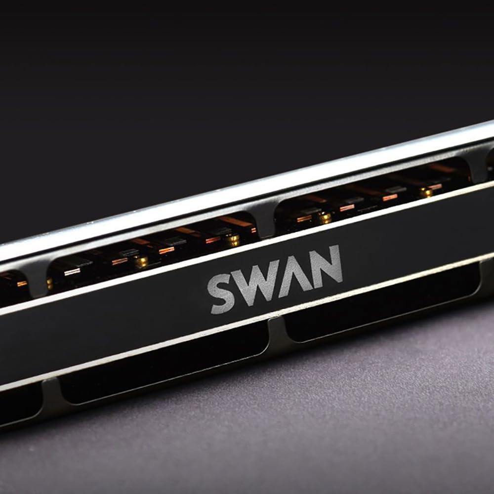 Swan 12 otworów 48 tonów chromatyczna harmonijka C klucz czarny metalowy profesjonalna harmonijka ustna gra na instrumentach muzycznych prezenty dla miłośników muzyki