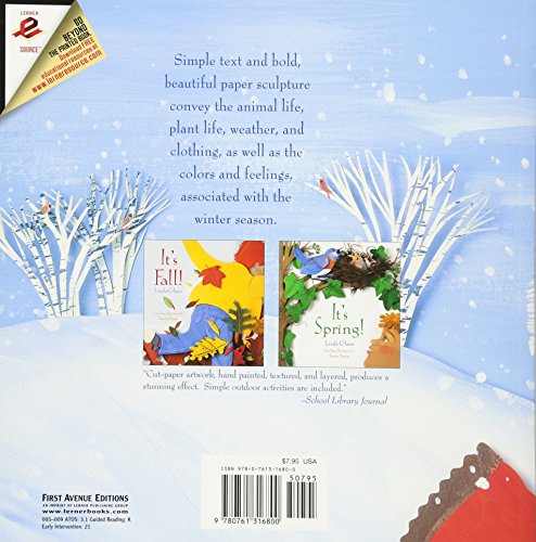 It's Winter! (Celebrate the Seasons!) - Image 2