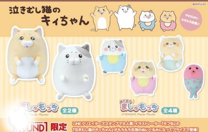 30名限定 直筆色紙付プラン 泣きむし猫のキィちゃん モフ缶 30名限定 直筆色紙付プラン 泣きむし猫のキィちゃん モフ缶