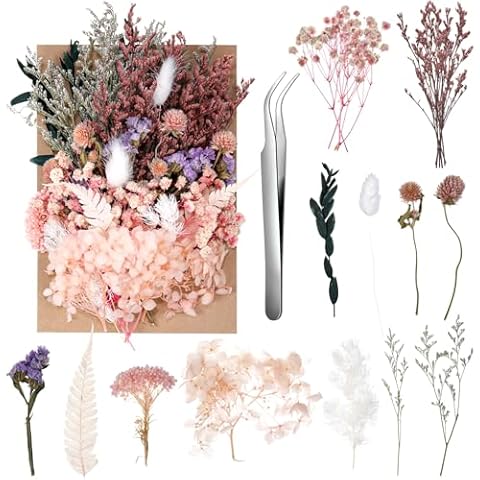 Natural Dried Flowers by auroray Cover