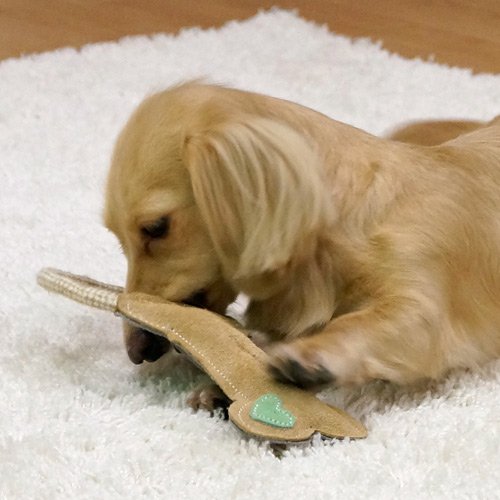 Doggyman Cowhide Super Toy Bone