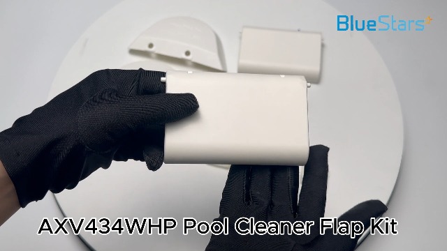 Amazon.com: BlueStars Pool Cleaner Tune-Up Rebuild Kit