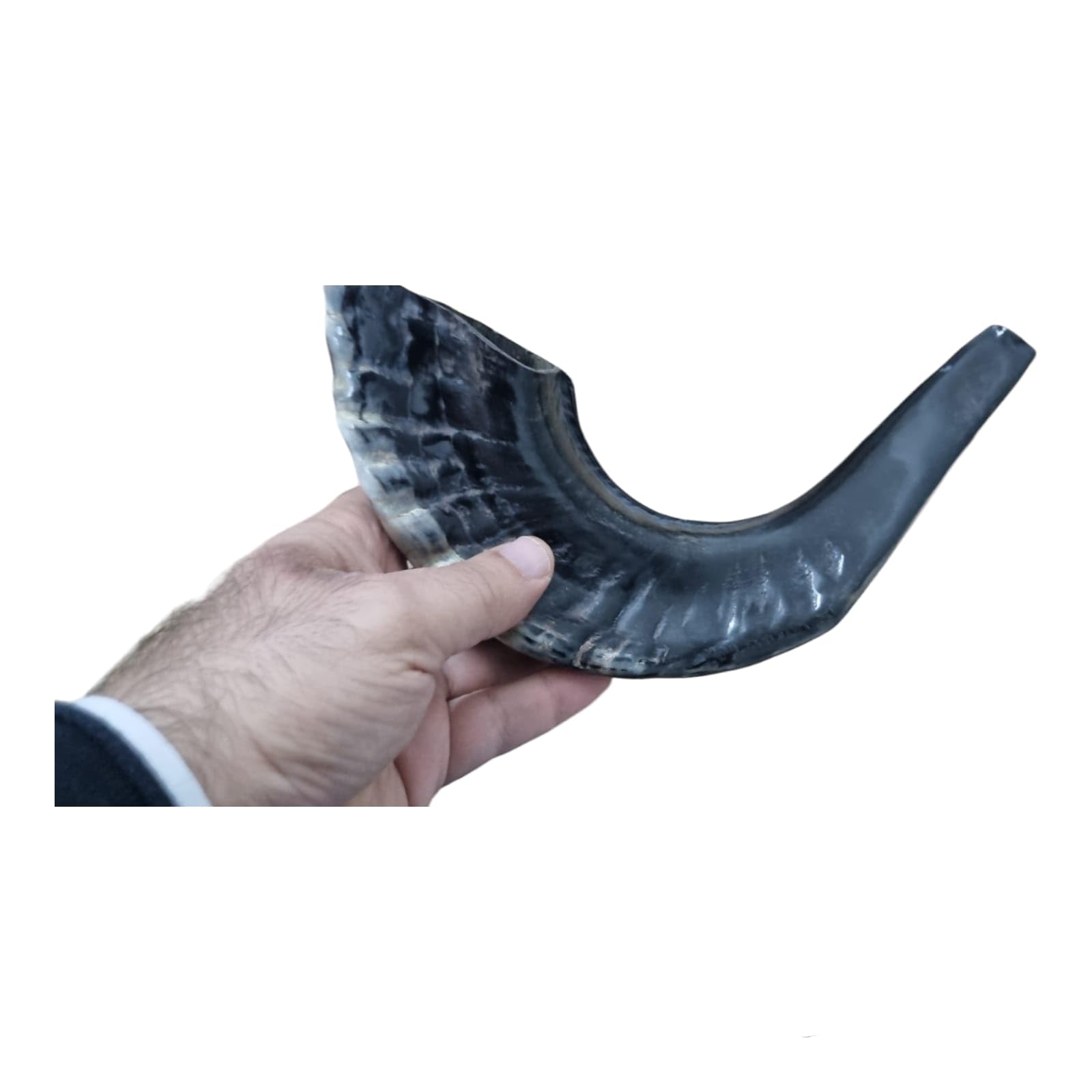 Authentic Natural Rams Ram Horn Shofar - Black & Kosher Certified Approx. 15 - Includes Odor Neutralizer product thumbnail 7
