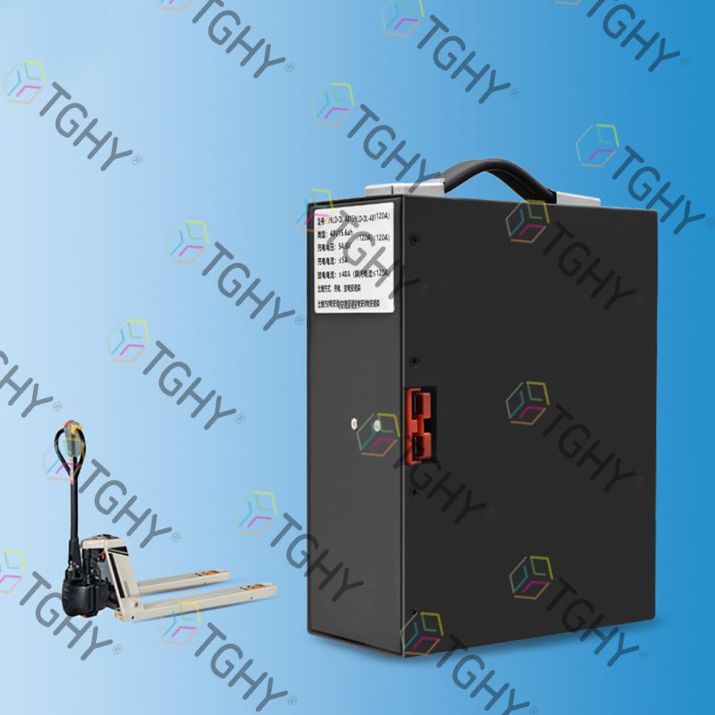 TGHY Batería de 48 V para montacargas eléctrico (48 V, 10,4 Ah, 15,6 Ah, 18 Ah), batería de Iones de Litio extraíble para Motor de transpaleta eléctrica de 0 a 900 W.,48v10.4ah
