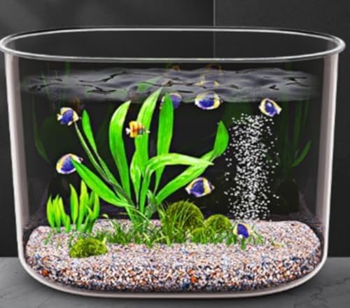 rO~j ƒp^E^ EJ猓p ԕripi (29*19*19cm)