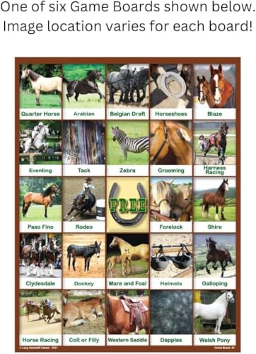 Juego Educativo Horse Bingo con Tableros y Cartas miniatura 3