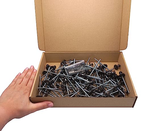 SKIR'CO (100 pezzi) Viti per tetti verniciate 4,8