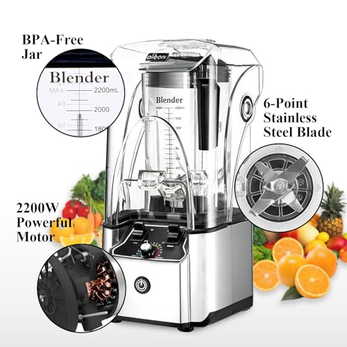 Commercial Blender For Smoothies