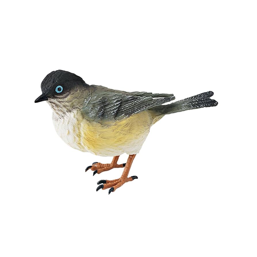 Amazon | Bhuun ミニチュア鳥の装飾スズメフィギュアリアル