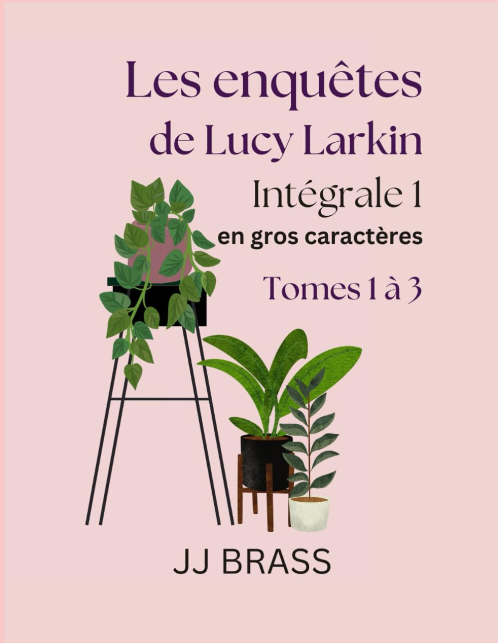 Les enquêtes de Lucy Larkin – Intégrale 1 en gros caractères: Tomes 1 à 3