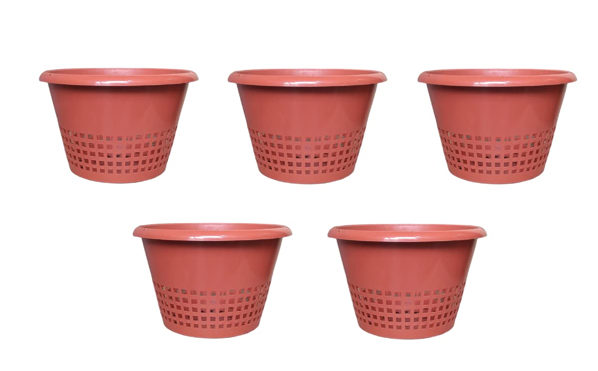 Orchid Pot/Hydroponic Plastic Pot 8-Inch, Brown (Set of 5 Nos) - TT Traders (B08LVLM3WH) Amazon Price History, Amazon Price Tracker