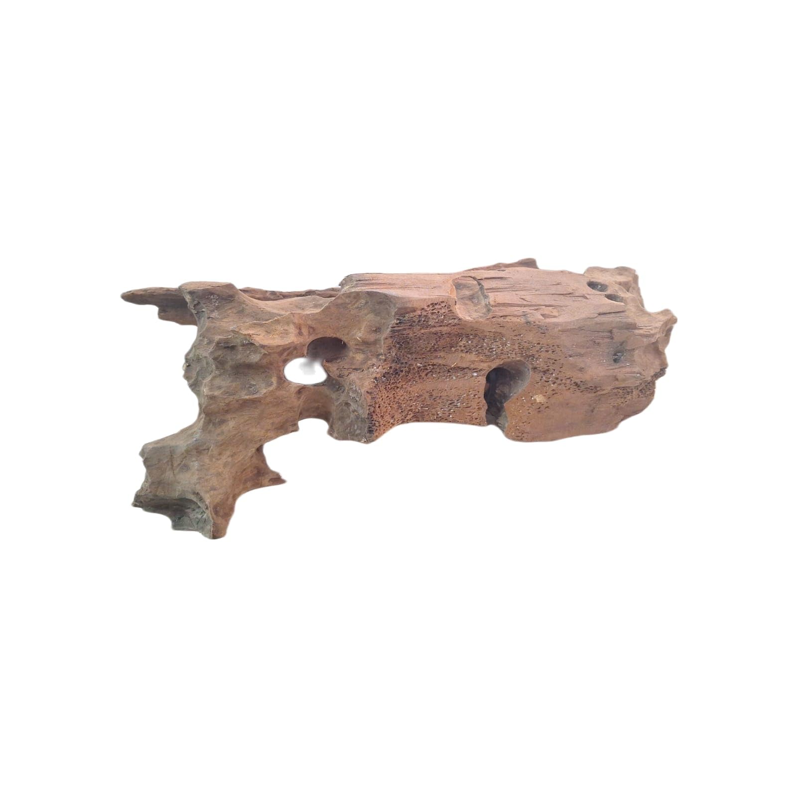 Natunae Tronco Madera Grande, Decoración Natural para Acuario, Terrario, Reptiles, Vivario y Paludario (M) 28-30 cm