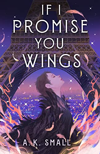  If I Promise You Wings