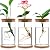 Desktop Plant Terrarium Propagation Planter Water Station Tabletop Glass Planting Glass Vase with Lid & Wooden Stand or Growing Hydroponic Plants Home Office Table Decoration