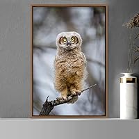 Framed Canvas Wall Art Owl Birds Dramatic Farmhouse/Country Home Office Multicolor Owl Photography - 16x24 inches