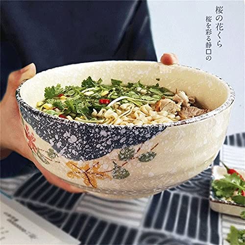 ERoomQ Pasta Bowls Large Soup Ramen Noodles Bowl Creative Hand Painted Fruit Salad Bowls Ceramic Microwave Safe Mixing Serving Bowls,