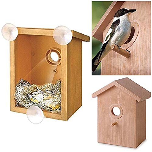 Fun Bird Feeder Le Meilleur Prix Dans Amazon Savemoney Es