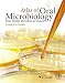 Atlas of Oral Microbiology: From Healthy Microflora to Disease