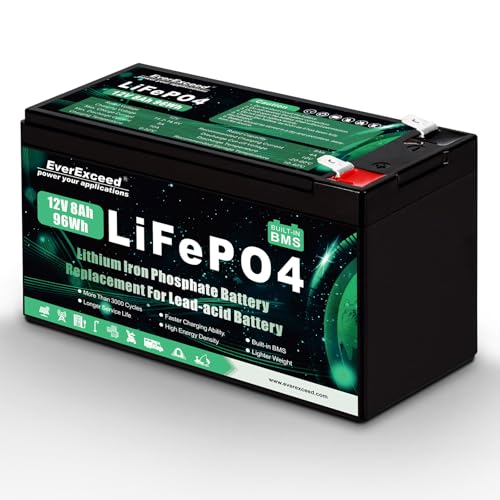 Batteria Lifepo4 da 12V 8 Ah con Oltre 3000 Cicli di Scarica Profonda Batteria Litio da 12 V per Energia Solare/Eolica, illuminazione, Pesce Rilevatore e Altro, con BMS da 10 A integrato