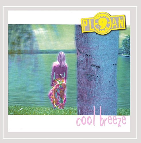 puma breeze v2 idp slippers