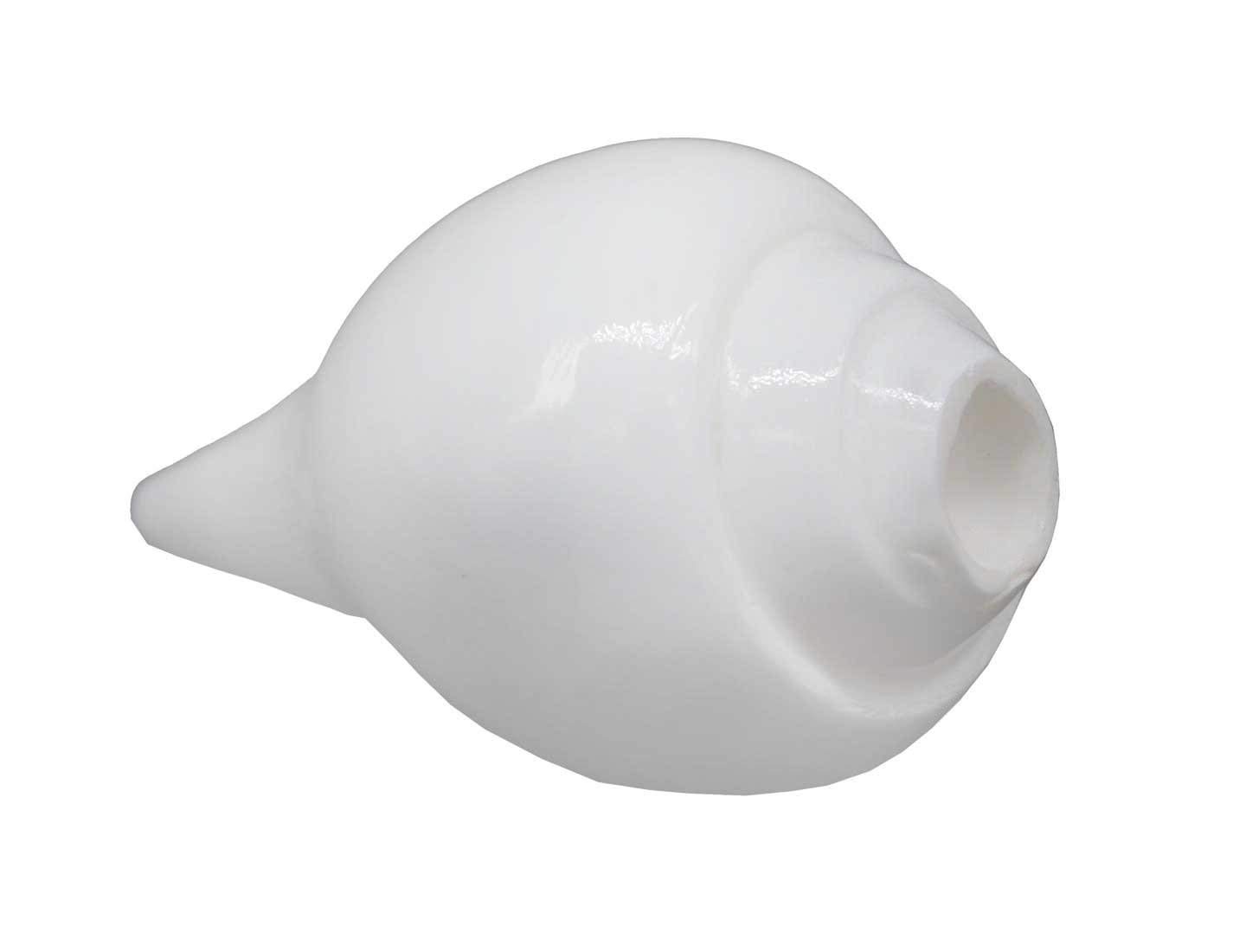 Sea Shell Loud & Big Blowing Shankh (White) - Small