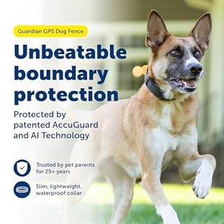 PetSafe Guardian GPS Dog Fence - Advanced AccuGuard Technology - Wireless Virtual Fence - No Subscription Required - Waterproof Collar with Long Lasting Battery - Easy to Set Up