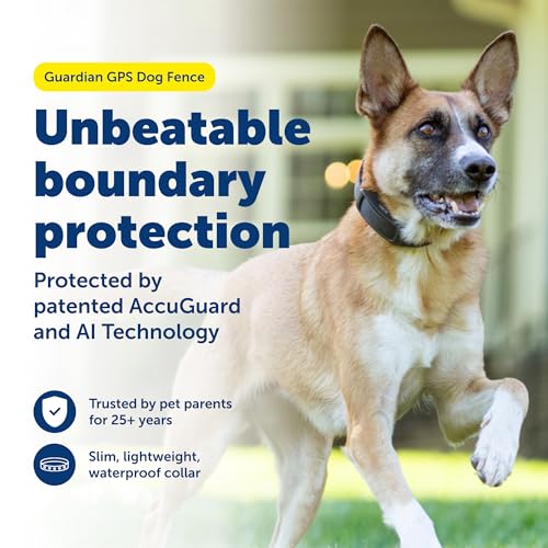 PetSafe Guardian GPS Dog Fence No Subscription Create Your Own Wireless Dog Fence Single-Yard Fence for Yards 3/4 Acres or Larger World's Safest GPS Dog Fence Tech New, Redesigned Collar