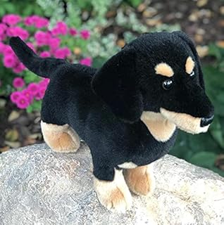 Amazon.com: Dachshund Stuffed Animal