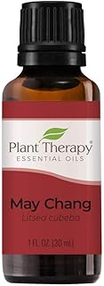 Plant Therapy May Chang (Litsea Cubeba) Essential Oil 30 mL (1 oz) 100% Pure, Undiluted, Therapeutic Grade