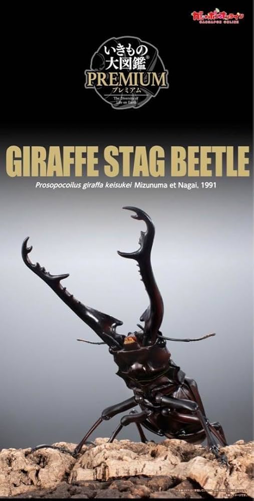 Amazon.co.jp: いきもの大図鑑プレミアム ギラファノコギリクワガタ A