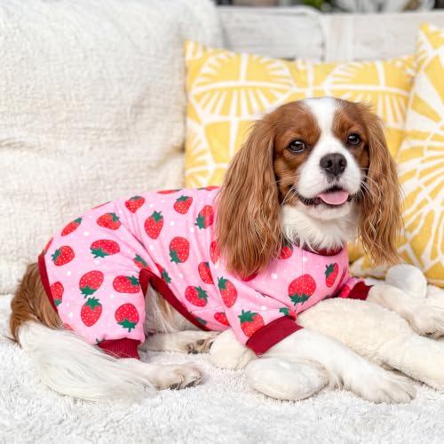 XPUDAC 4 Pack Dog Pajamas for Small Dogs Pjs Clothes Puppy Onesies Outfits for Doggie Duck Shirts Sleeper for Pet-M - Image 5