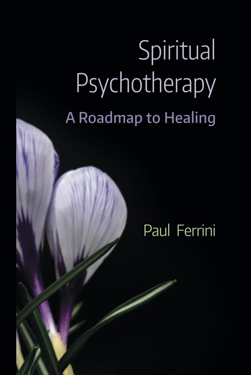Spiritual Psychotherapy: A Roadmap to Healing