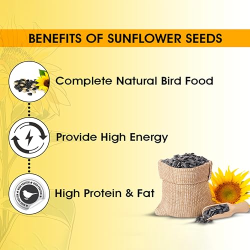 Image of BOLTZ Striped Premium Sunflower Seeds for Birds, Bird Food for Lovebirds, Cockatiels, Sun Conure, African Grey Parrot, Amazon, Macaws, Cockatoos for All Life Stages (450Gm (Pack 1))