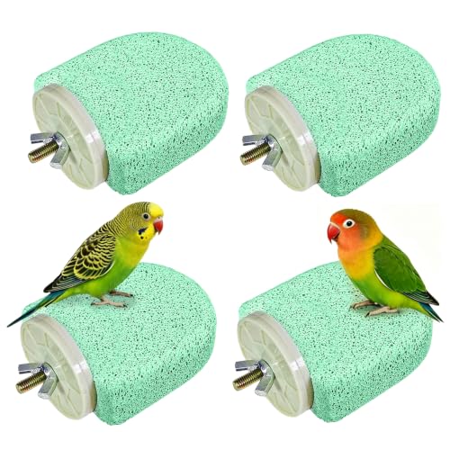 Image of 4Pack Bird Perch Stands Parrot Beak Grinding Stone Platform,Green-S