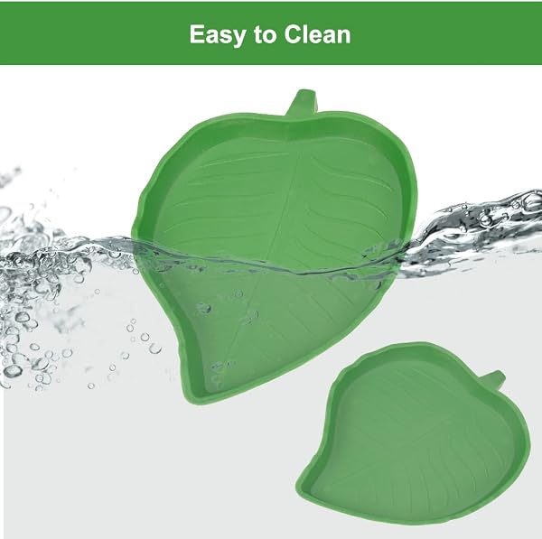 Casa delle Tartaruga 2 Ciotole per Rettili e Accessori per Tartaruga, Acqua - 5